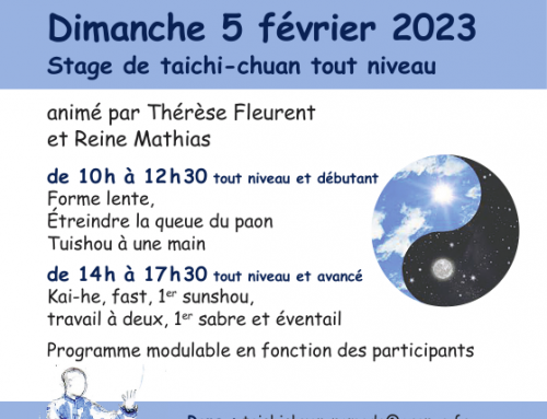 Stage de taichi-chuan dimanche 5 février, Villeneuve-sur-Yonne